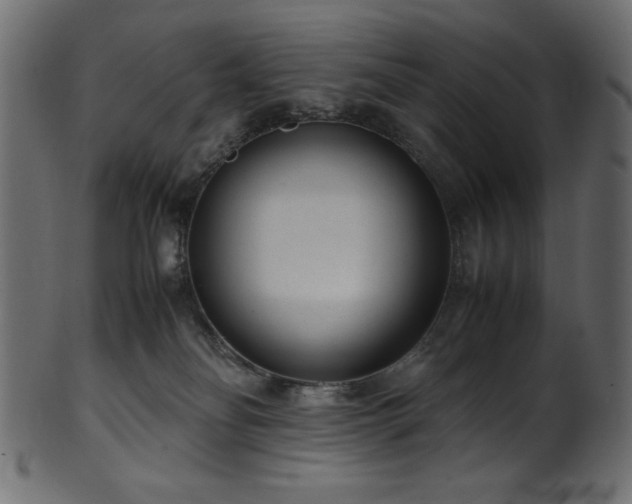 X0000101990134200807181156