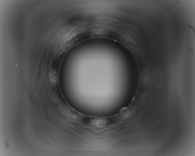 X0000101990135200807181156