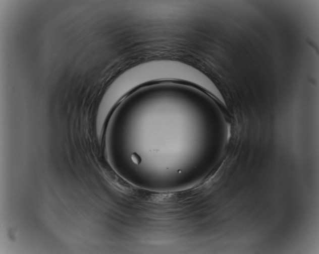 X0000101990136200807181156
