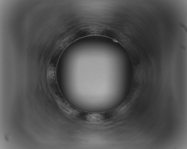 X0000101990137200807181156