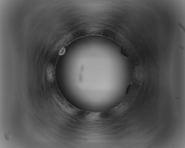 X0000101990138200807181156