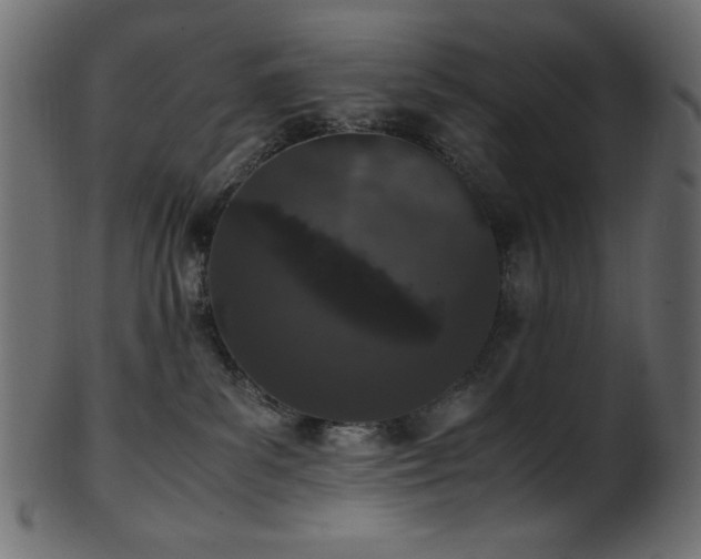 X0000101990139200807181156