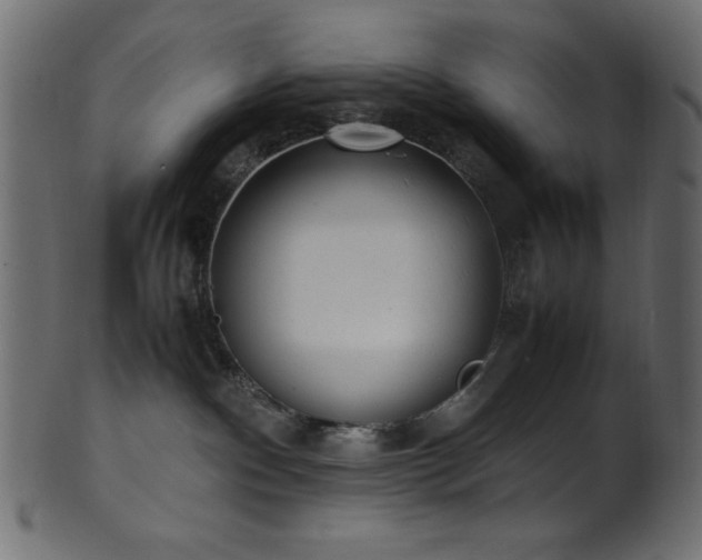 X0000101990140200807181156