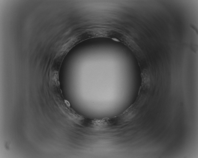 X0000101990141200807181156