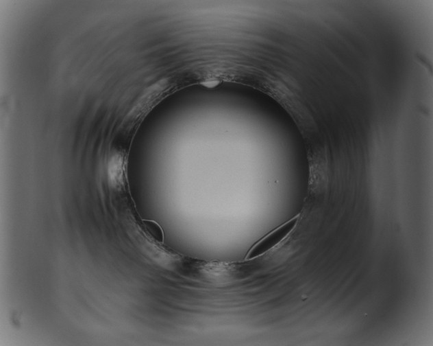 X0000101990142200807181156