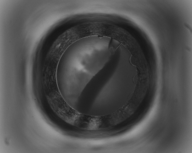 X0000101990143200807181156