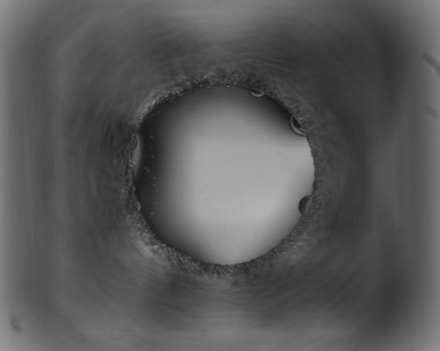 X0000101990144200807181156