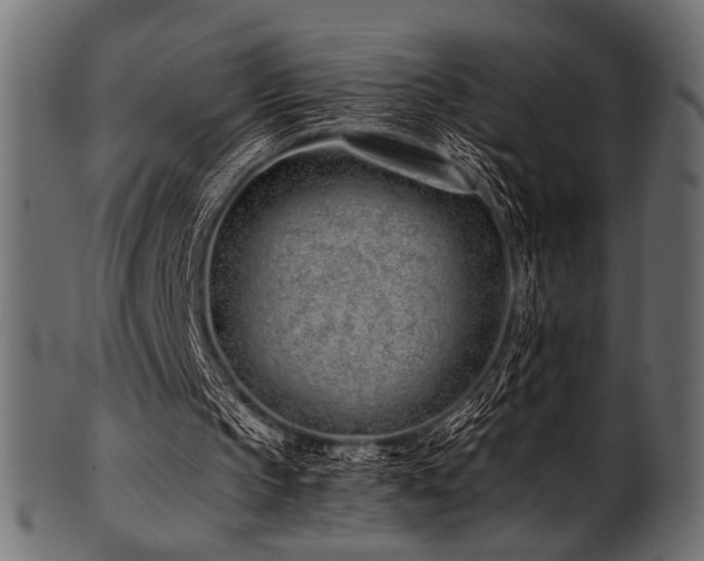 X0000101990145200807181155