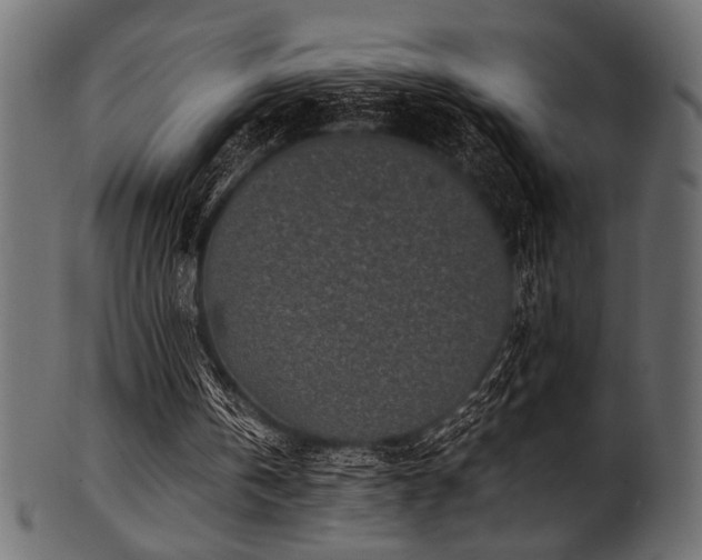 X0000101990146200807181155