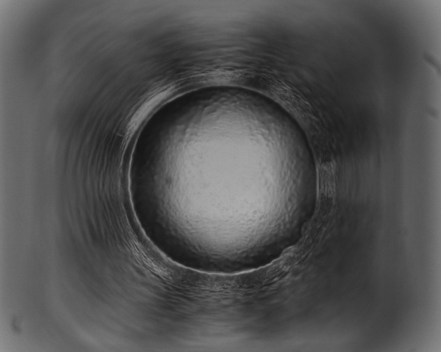 X0000101990147200807181155
