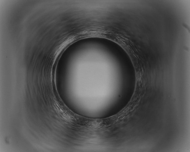 X0000101990148200807181155