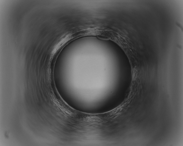 X0000101990150200807181155