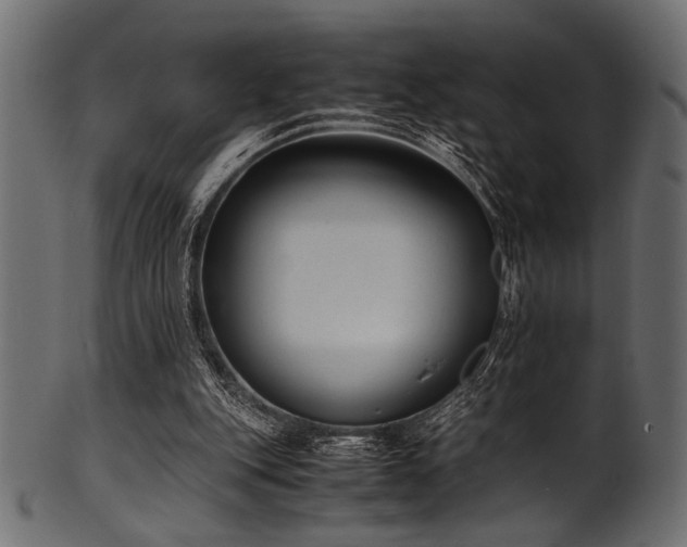 X0000101990151200807181155