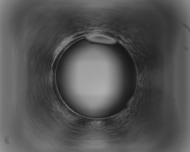 X0000101990152200807181155