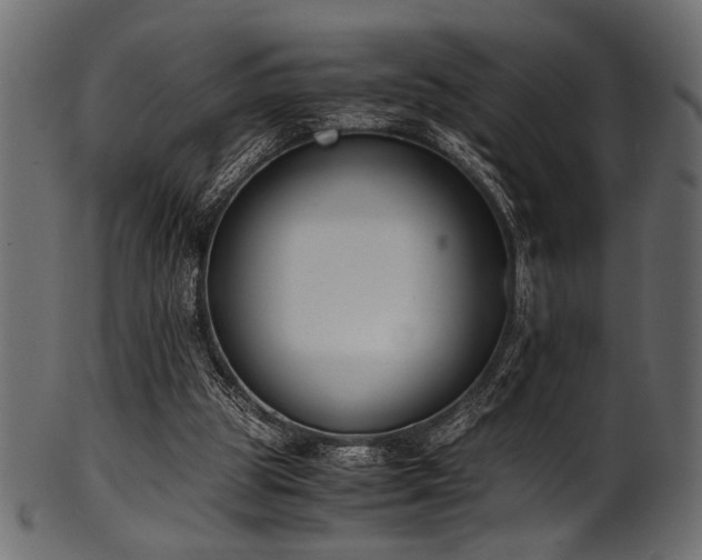 X0000101990153200807181156