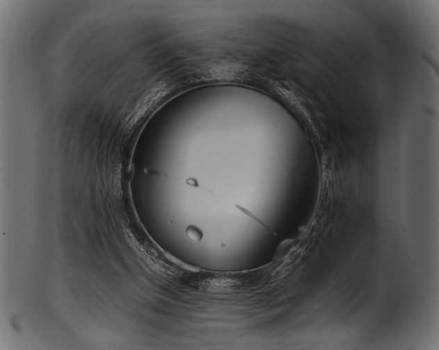 X0000101990154200807181156