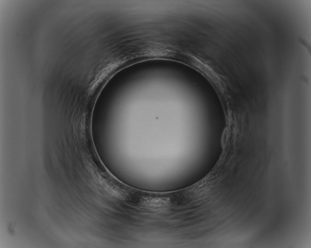 X0000101990155200807181156