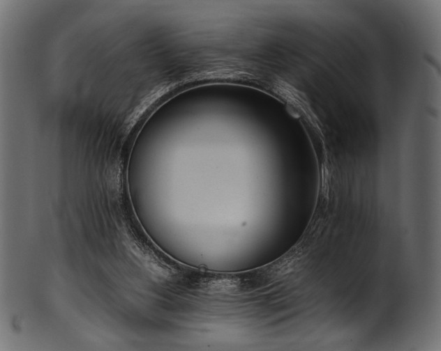 X0000101990156200807181156