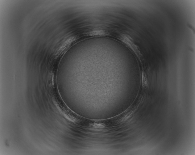 X0000101990157200807181156