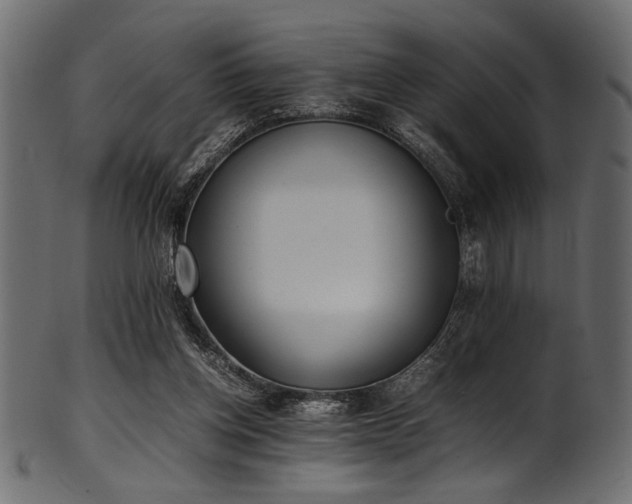 X0000101990158200807181156
