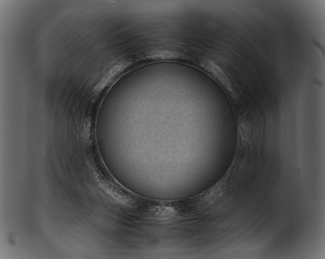 X0000101990159200807181156