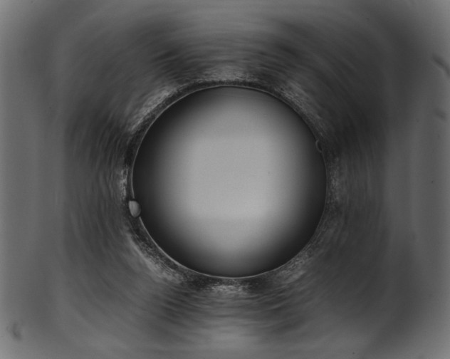 X0000101990160200807181156