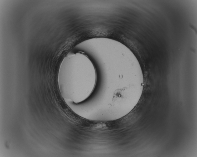 X0000101990162200807181156