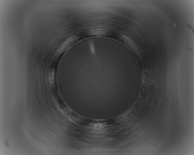 X0000101990163200807181156