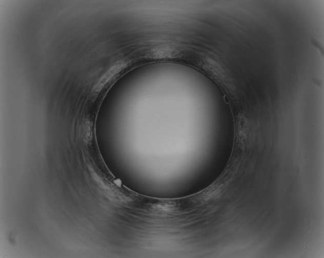 X0000101990164200807181156