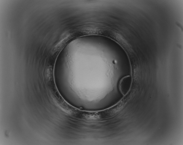 X0000101990165200807181156