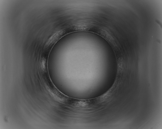 X0000101990166200807181156