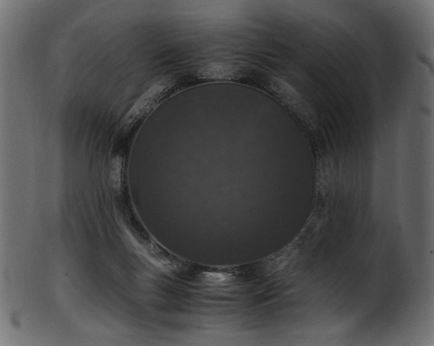 X0000101990167200807181156