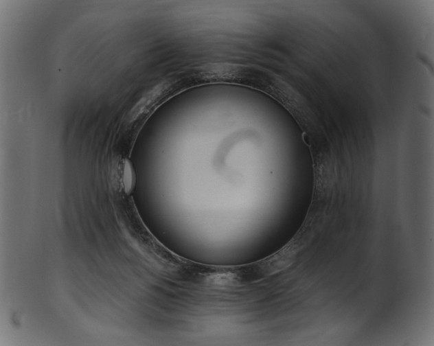 X0000101990168200807181156