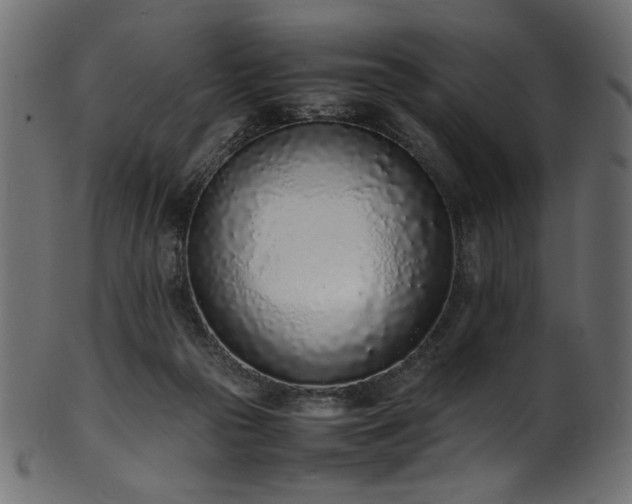X0000101990169200807181156