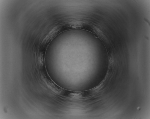X0000101990170200807181156