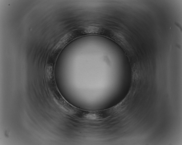 X0000101990171200807181156