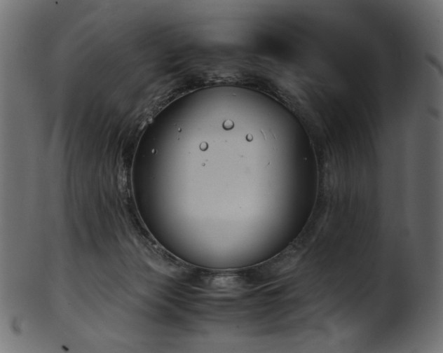 X0000101990173200807181156