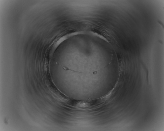 X0000101990174200807181156