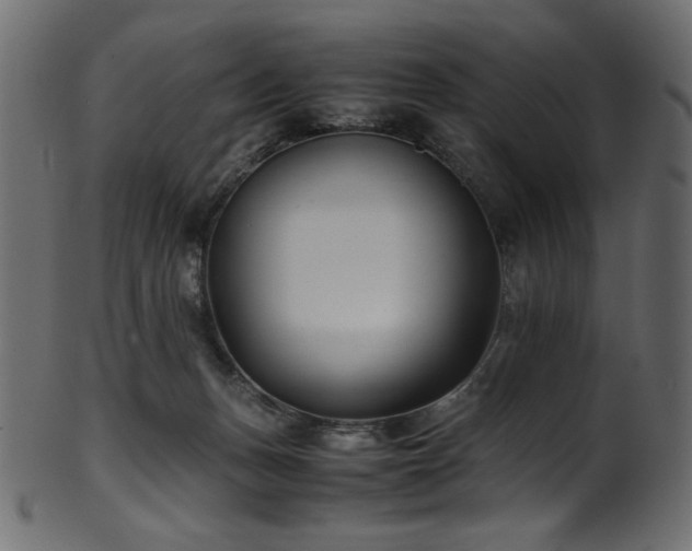 X0000101990175200807181156