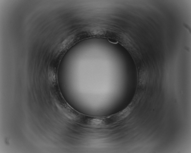 X0000101990176200807181156