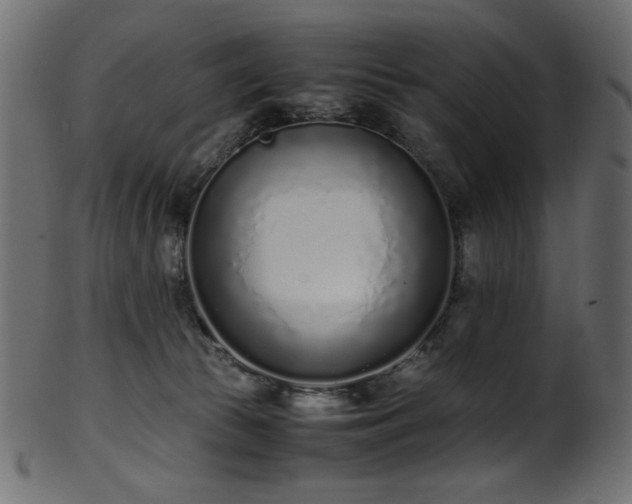 X0000101990177200807181156