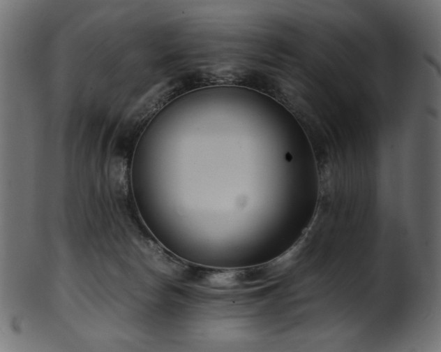 X0000101990178200807181156