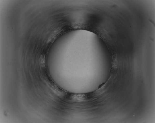 X0000101990179200807181156