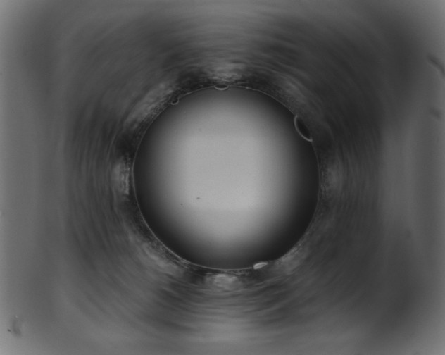 X0000101990180200807181156