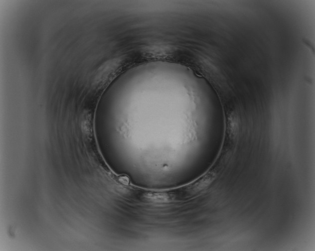X0000101990181200807181156