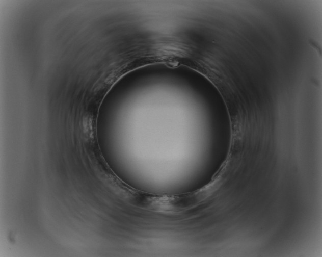 X0000101990182200807181156