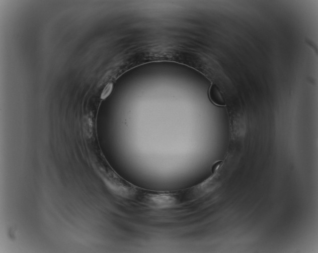 X0000101990183200807181156