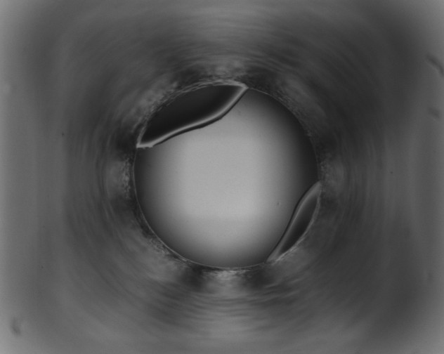 X0000101990184200807181156
