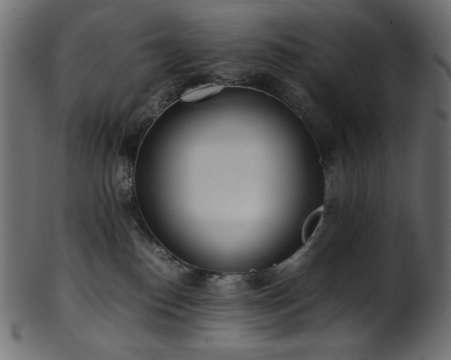 X0000101990186200807181156