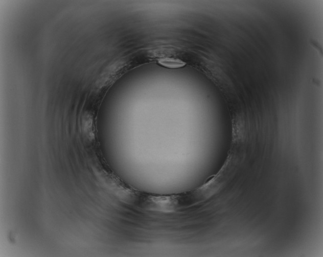X0000101990187200807181156